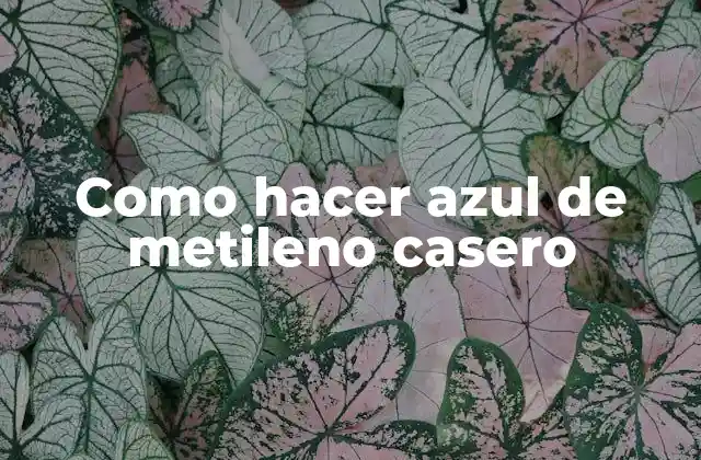 Como Hacer Azul de Metileno Casero