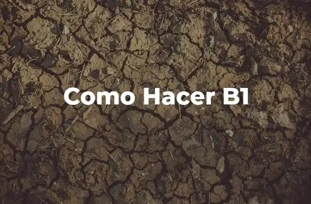 Como Hacer B1 2 ¿Qué es el Nivel B1 y para Qué Sirve?