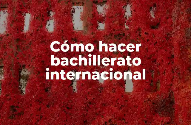 ¿Qué es el bachillerato internacional?