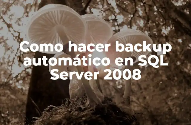 Como Hacer Backup Automático en Sql Server 2008