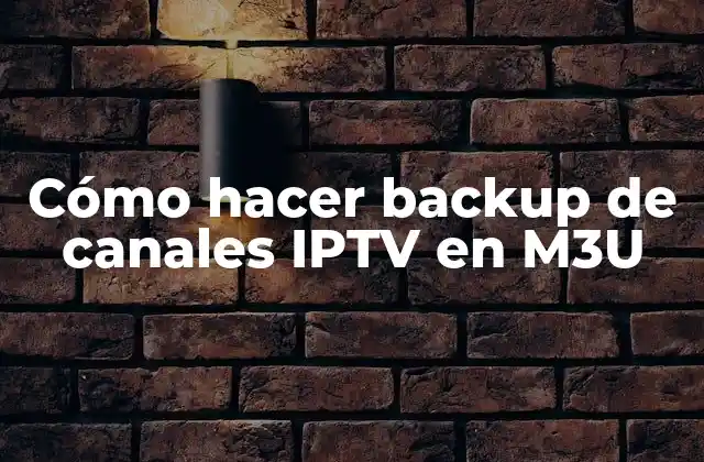 Cómo Hacer Backup de Canales Iptv en M3u
