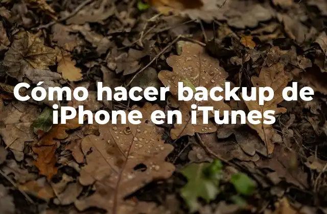 Cómo Hacer Backup de Iphone en Itunes 2 ¿Qué es un backup de iPhone en iTunes?