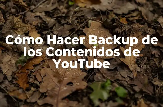 Cómo Hacer Backup de los Contenidos de Youtube 2 ¿Qué es un Backup de Contenidos de YouTube?