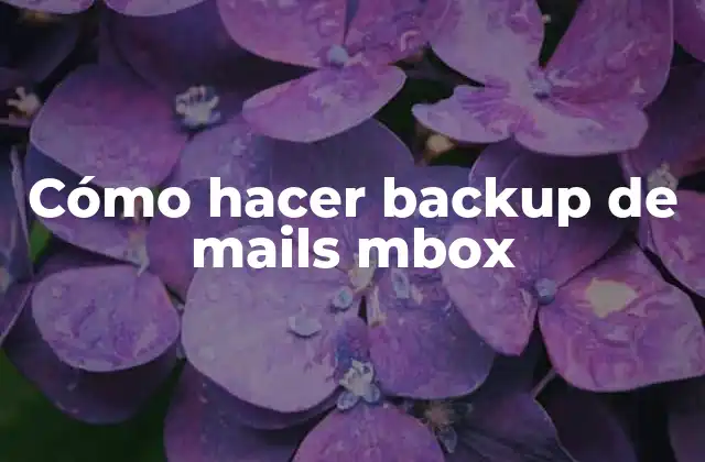 Cómo Hacer Backup de Mails Mbox 2 ¿Qué es un backup de mails mbox?