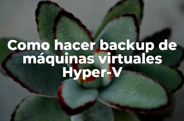 Como Hacer Backup de Máquinas Virtuales Hyper-v 2 Como hacer backup de máquinas virtuales Hyper-V
