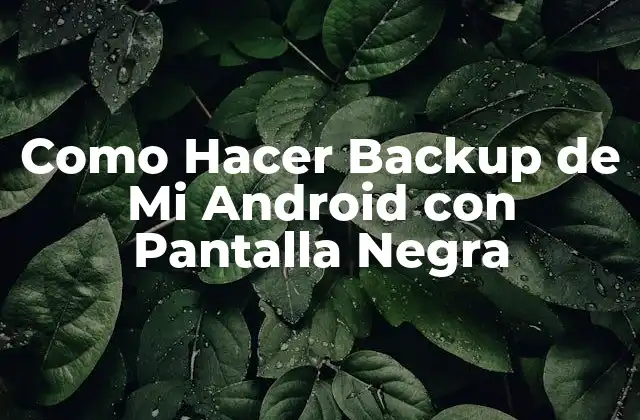 Como Hacer Backup de Mi Android con Pantalla Negra