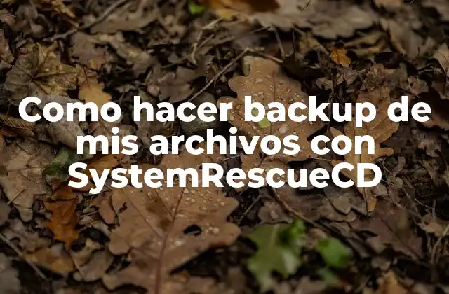 Como Hacer Backup de Mis Archivos con Systemrescuecd