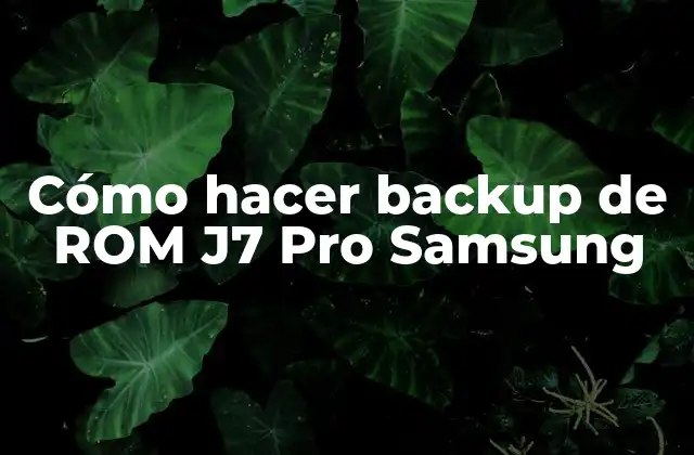 Cómo Hacer Backup de Rom J7 Pro Samsung