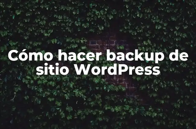 Cómo Hacer Backup de Sitio WordPress