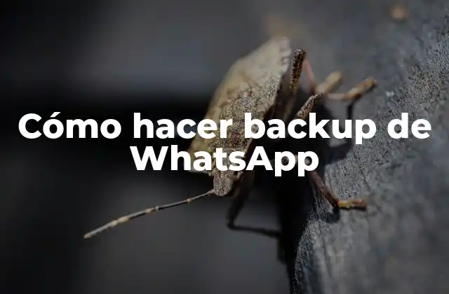 Cómo Hacer Backup de Whatsapp