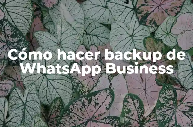 Cómo Hacer Backup de Whatsapp Business