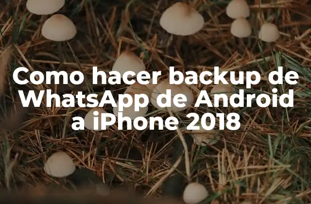 Como Hacer Backup de Whatsapp de Android a Iphone 2018 2 ¿Qué es un backup de WhatsApp y por qué es importante?