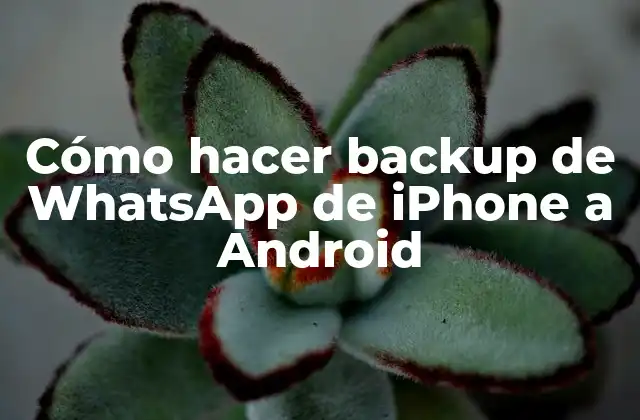 Cómo Hacer Backup de Whatsapp de Iphone a Android