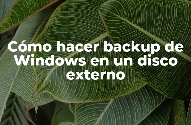 Cómo Hacer Backup de Windows en un Disco Externo