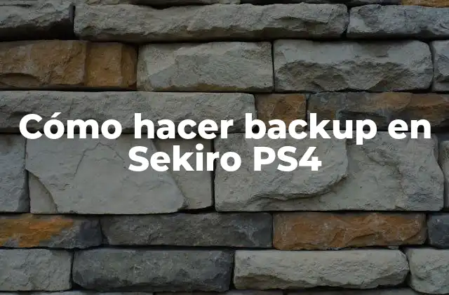 Cómo Hacer Backup en Sekiro Ps4