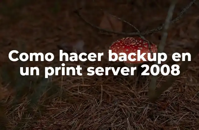 Como Hacer Backup en un Print Server 2008