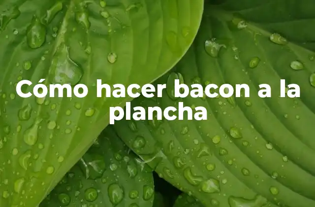 Cómo Hacer Bacon a la Plancha 2 Cómo hacer bacon a la plancha