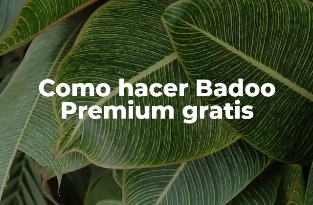 Qué es Badoo Premium y para qué sirve