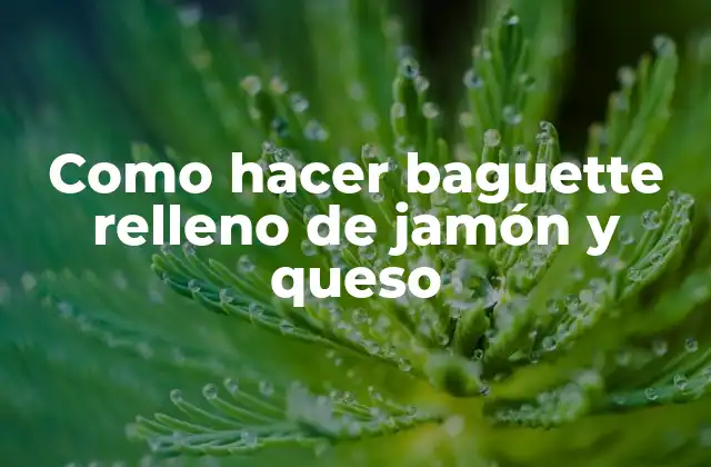 Como Hacer Baguette Relleno de Jamón y Queso