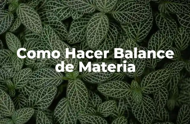 Como Hacer Balance de Materia