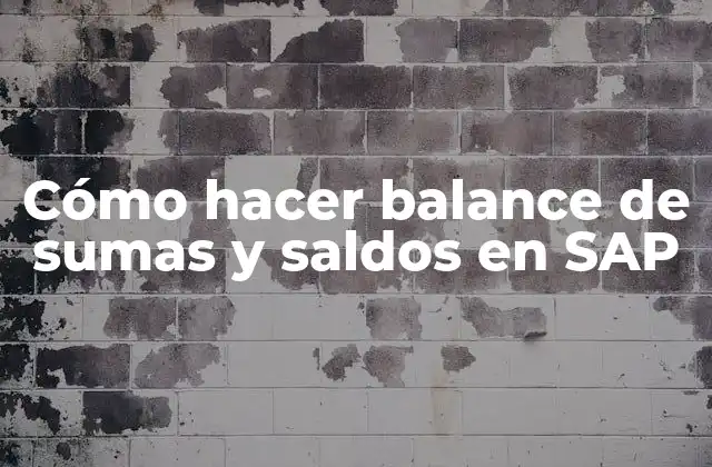 Balance de sumas y saldos en SAP