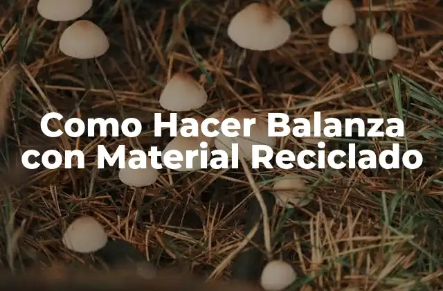 Como Hacer Balanza con Material Reciclado