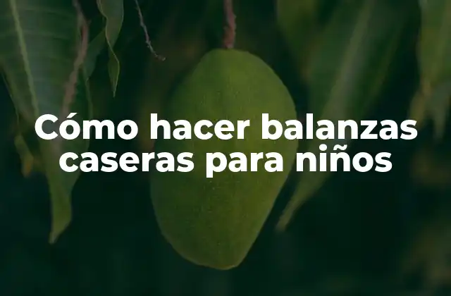 Cómo Hacer Balanzas Caseras para Niños