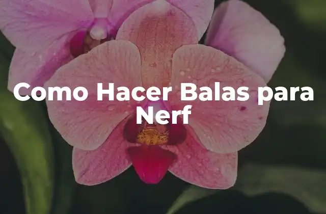 Qué son las Balas para Nerf y Cómo Funcionan