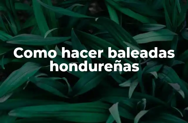 ¿Qué son las baleadas hondureñas?