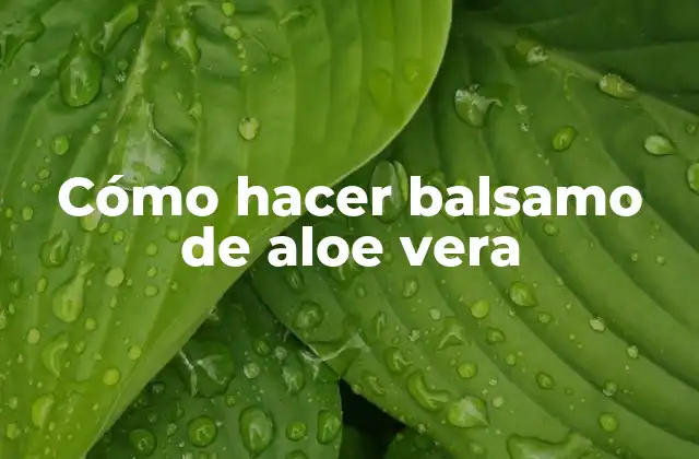 Cómo Hacer Balsamo de Aloe Vera
