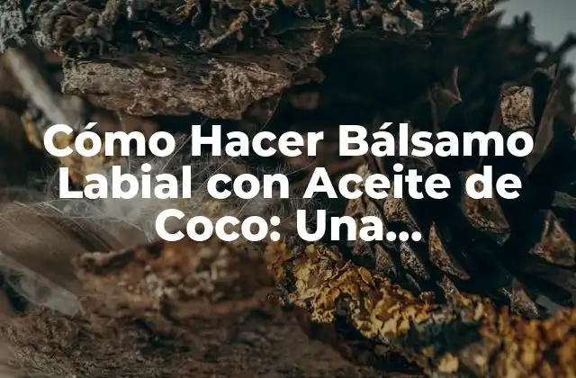 Beneficios del Aceite de Coco para los Labios