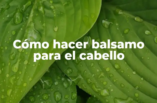 Cómo Hacer Balsamo para el Cabello