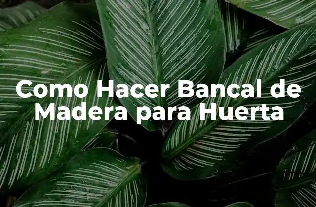 Como Hacer Bancal de Madera para Huerta