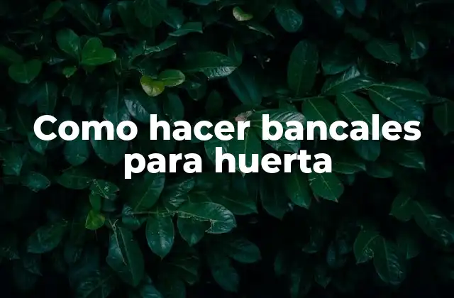 Como hacer bancales para huerta