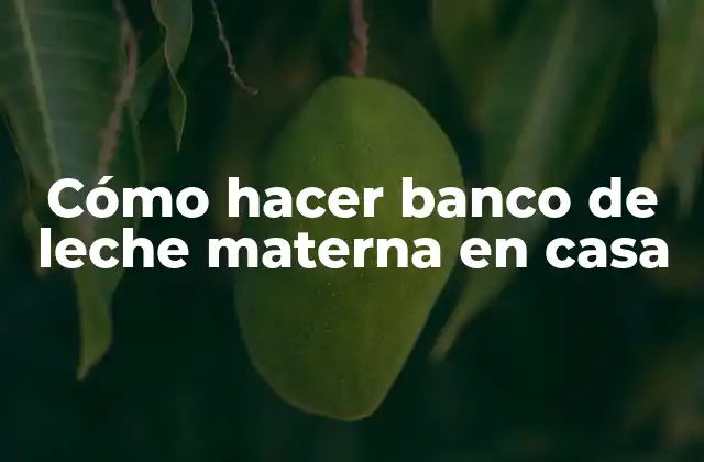 Cómo Hacer Banco de Leche Materna en Casa