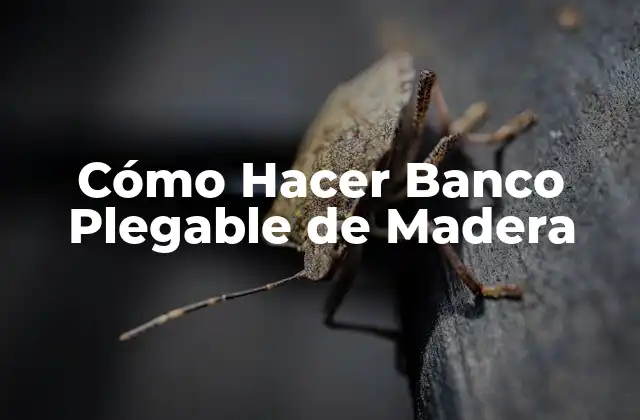 Cómo Hacer Banco Plegable de Madera 2 Cómo Hacer Banco Plegable de Madera