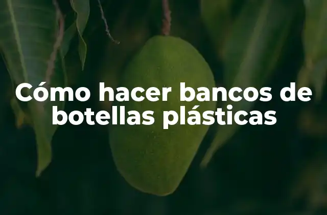 Cómo Hacer Bancos de Botellas Plásticas