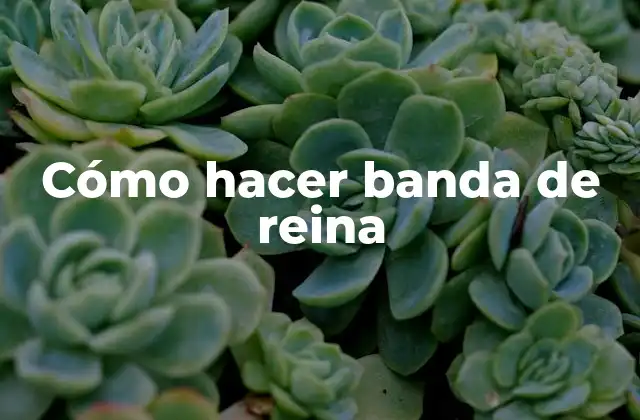 Cómo Hacer Banda de Reina 2 Cómo hacer banda de reina