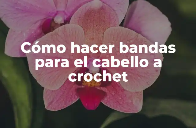 Cómo Hacer Bandas para el Cabello a Crochet