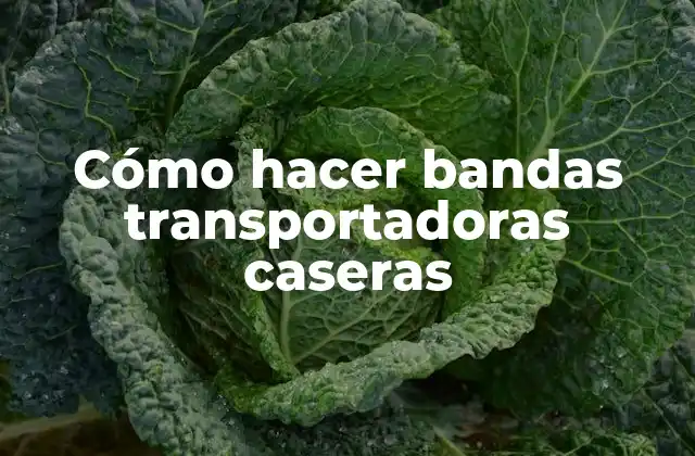 Cómo Hacer Bandas Transportadoras Caseras