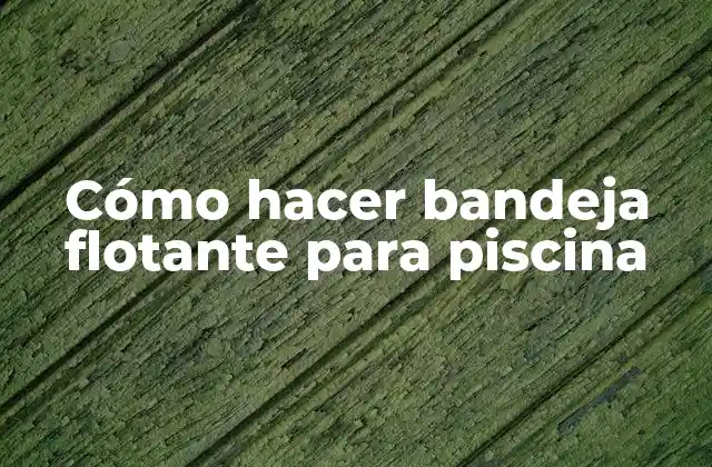 Cómo Hacer Bandeja Flotante para Piscina