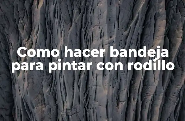 Como Hacer Bandeja para Pintar con Rodillo