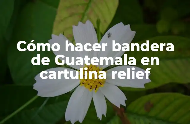 Cómo Hacer Bandera de Guatemala en Cartulina Relief