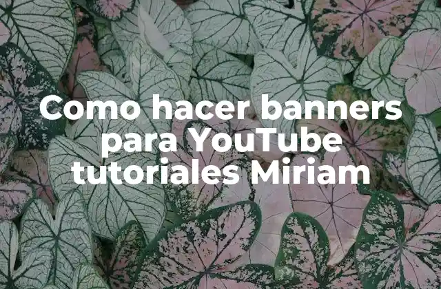 ¿Qué es un banner para YouTube y para qué sirve?