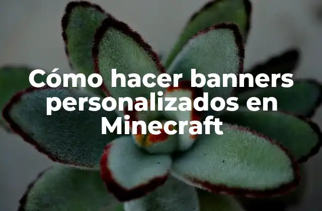Cómo Hacer Banners Personalizados en Minecraft