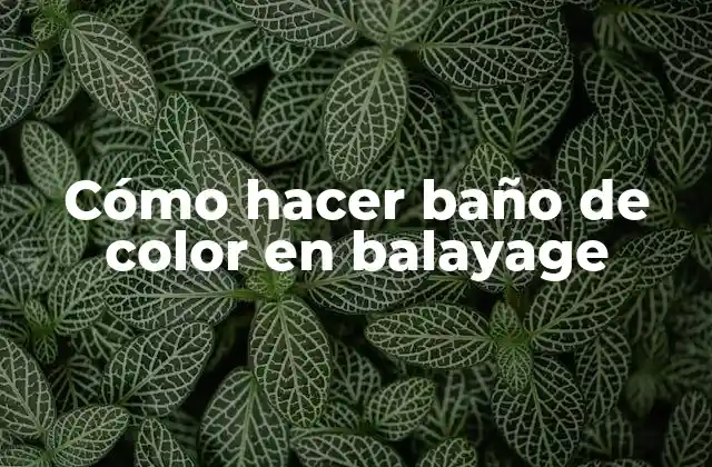 Cómo Hacer Baño de Color en Balayage