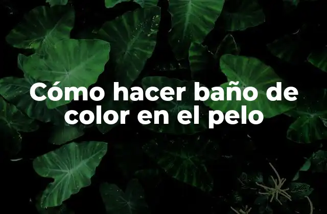 Cómo Hacer Baño de Color en el Pelo