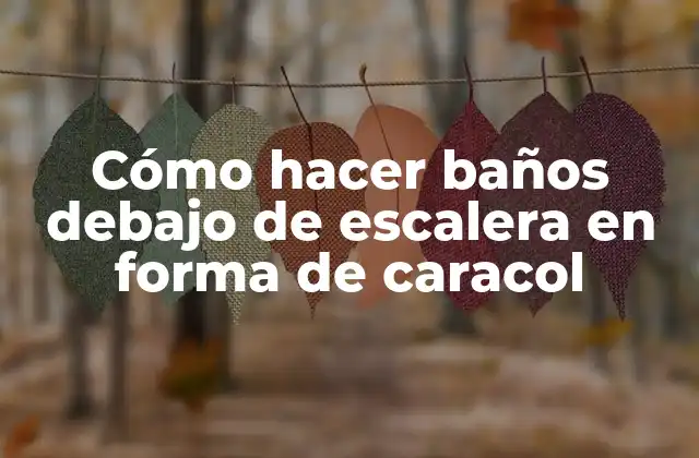 Cómo Hacer Baños Debajo de Escalera en Forma de Caracol