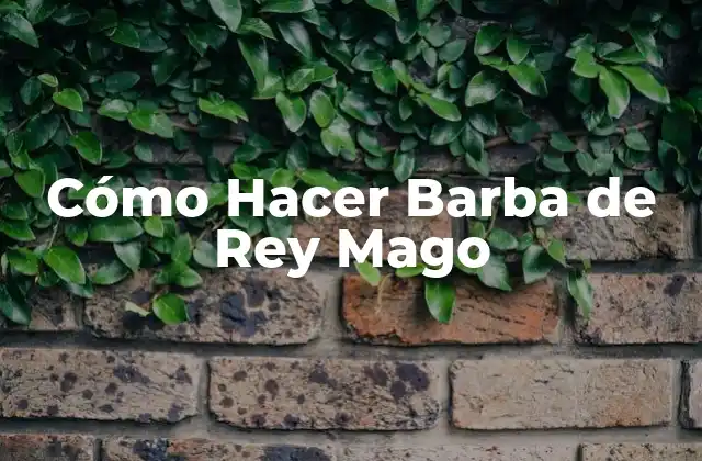 Cómo Hacer Barba de Rey Mago