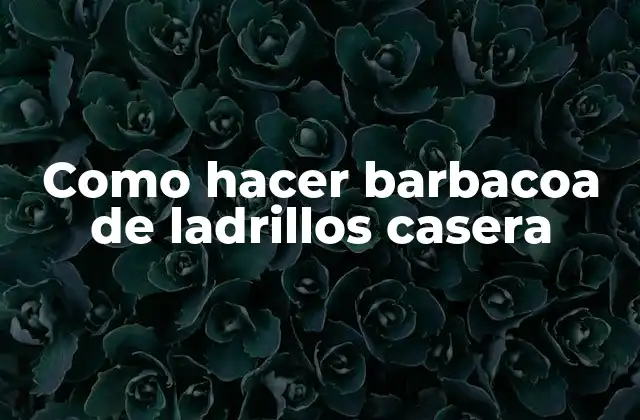 Como Hacer Barbacoa de Ladrillos Casera 2 Barbacoa de ladrillos casera: ¿qué es y para qué sirve?